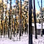 Park Rekreacyjno-Biznesowy Las Woda