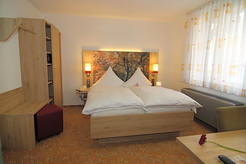 Ringhotel Gasthof Hasen