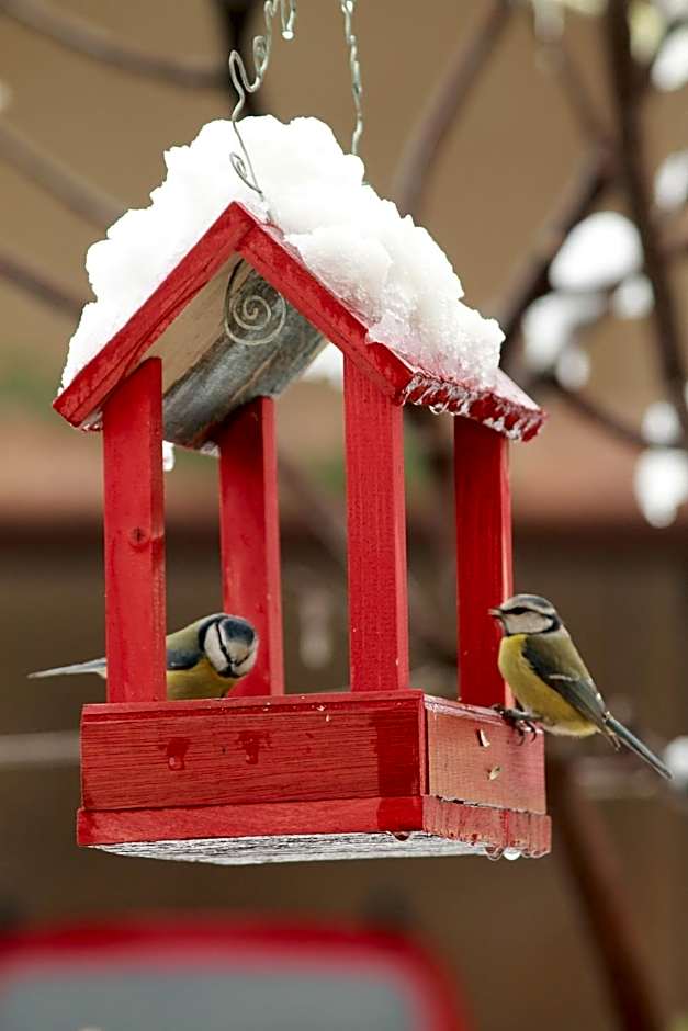 LA CUCCAGNA DI DON BOSCO - No landlords and neighbours - Absolute privacy!