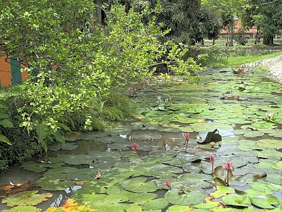 Saku Boutique Homestay