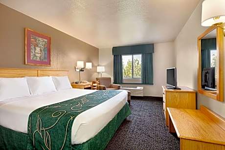 1 King Bed Non-Smoking