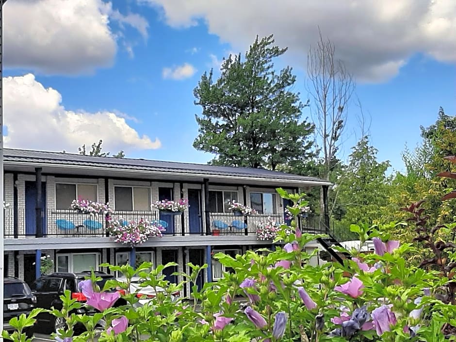 Blue Moon Motel