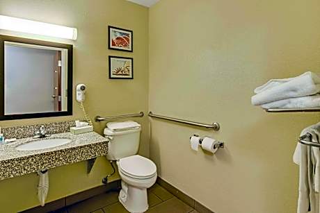 King Room - Disability Access/Non-Smoking