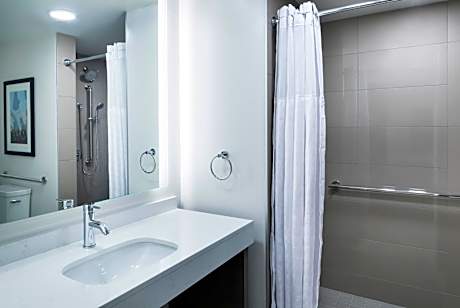 One-Bedroom Suite with Sofa Bed and Roll-In Shower - Mobility Accessible