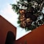 Casa Carmen Reforma