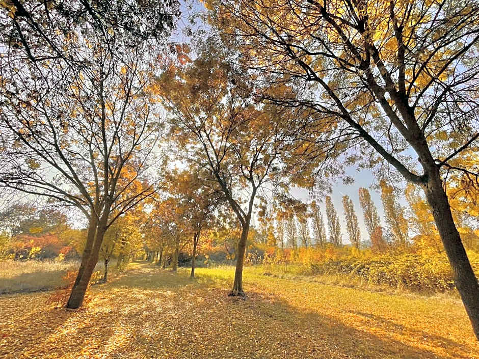 Hotel Terme Delle Nazioni
