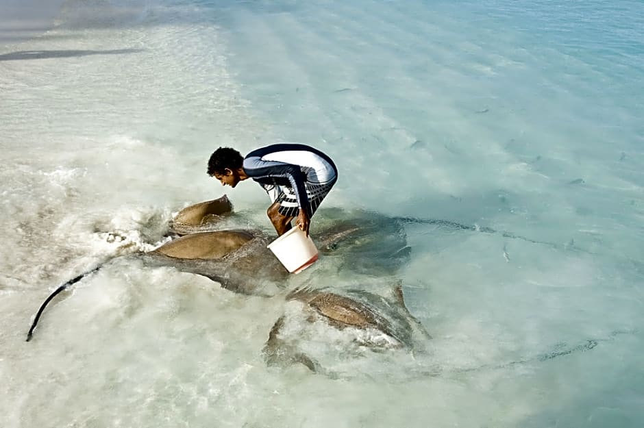 Banyan Tree Vabbinfaru