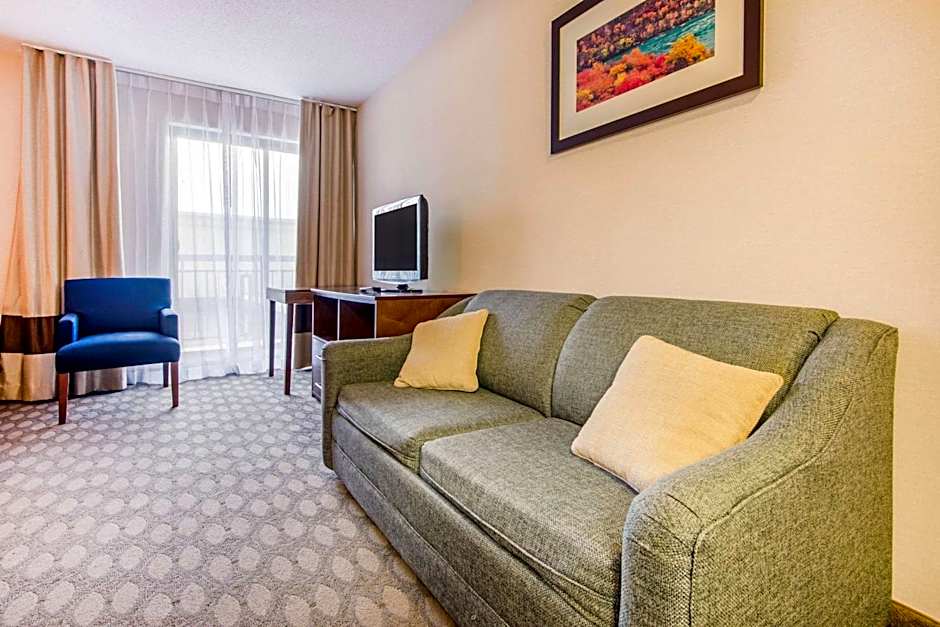 Comfort Inn Fallsview