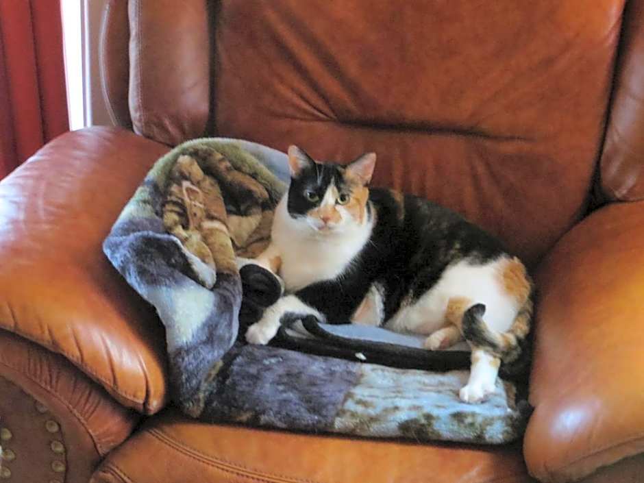 La maison sous les arbres