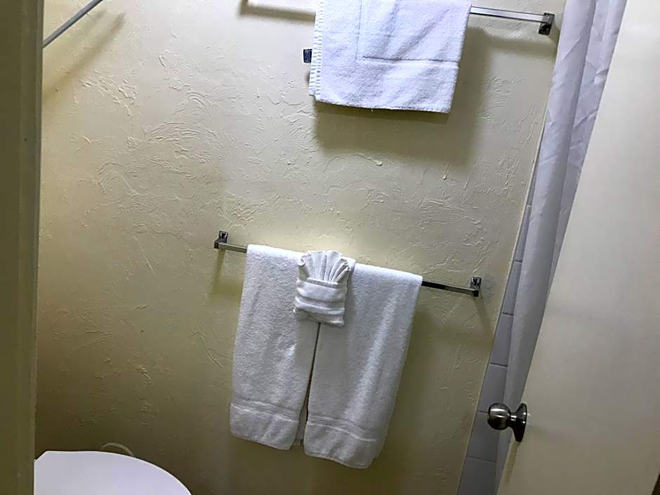 Hilo Reeds Bay Hotel