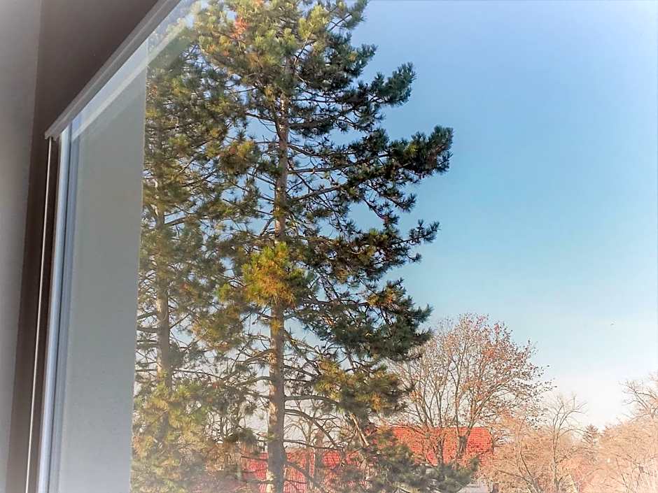 Hotel & Restaurant Alte Molkerei Kölleda