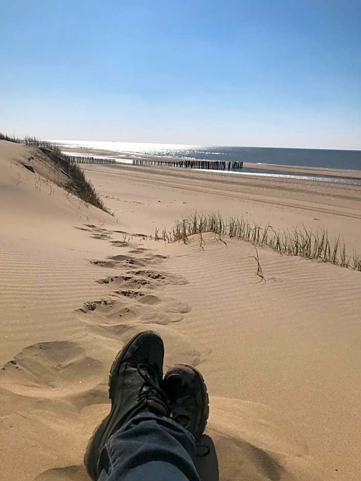 Rosa's zonnige huisje bij duinen bos en strand