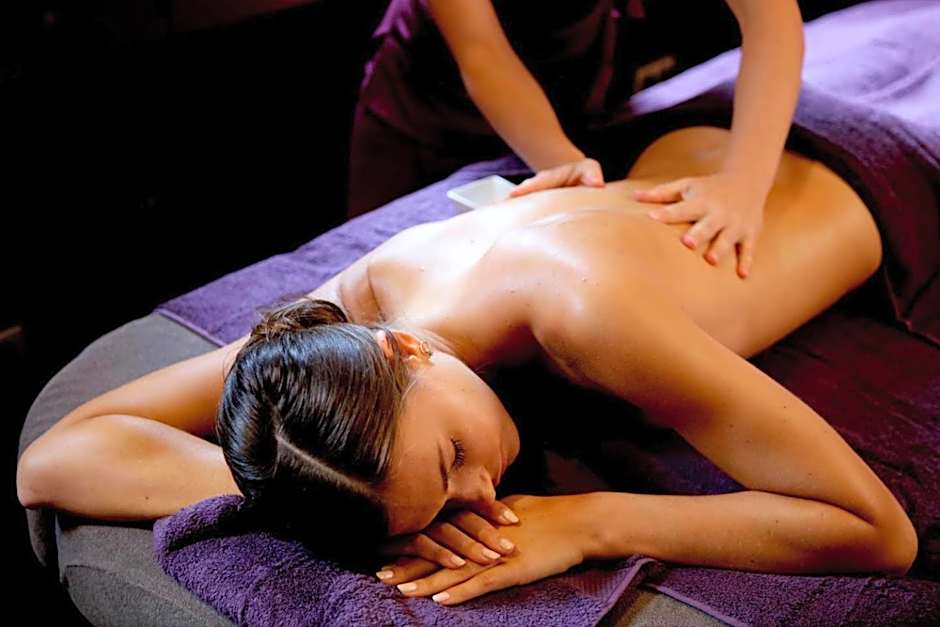 Hôtel Villa-Lamartine