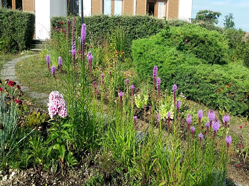 Chambres D'hôtes du Plessis