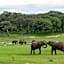 Hwange Safari Lodge