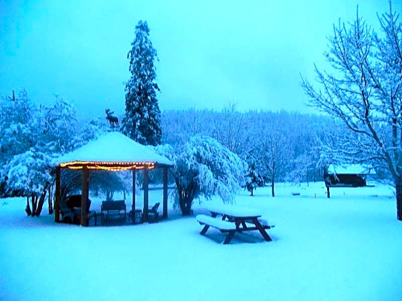 Clark Fork Lodge