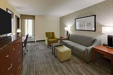King Suite with Sofa Bed