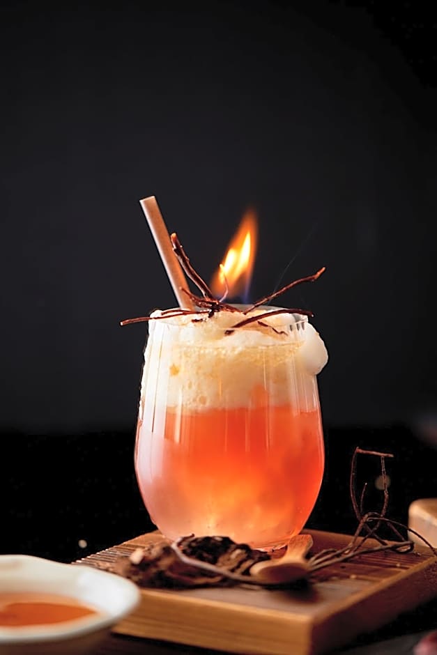 Hôtel Chalet Mounier