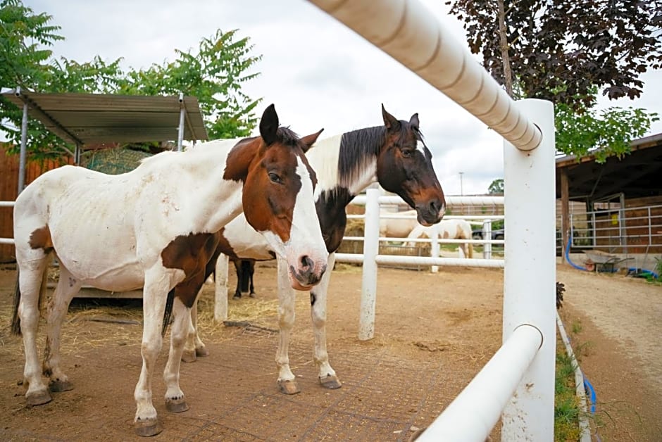 Ranchzimmer am Hippo-Campus Reit- und Therapiezentrum