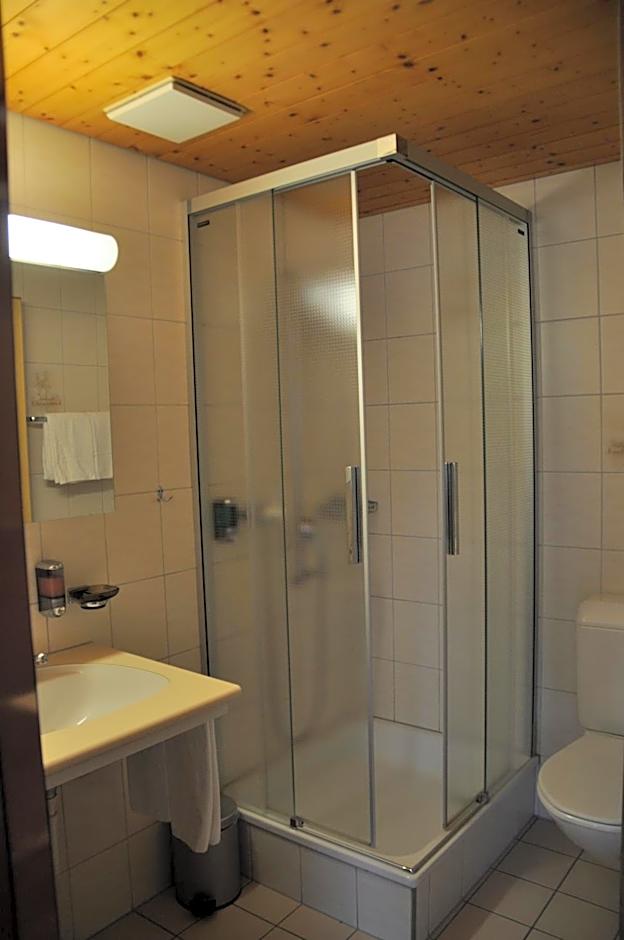 Ferien- und Familienhotel Alpina Adelboden