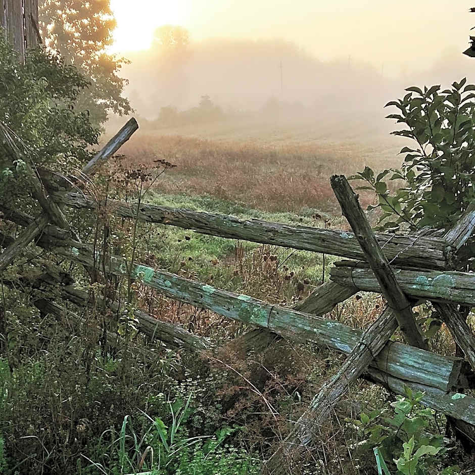 Harlem Stonegate B&B