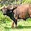 Mount Camdeboo Private Game Reserve by NEWMARK
