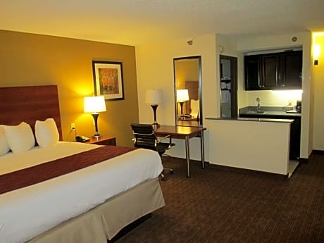 1 King Bed, Studio Suite, Non-Smoking