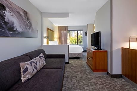 Studio, 1 King, Sofa bed