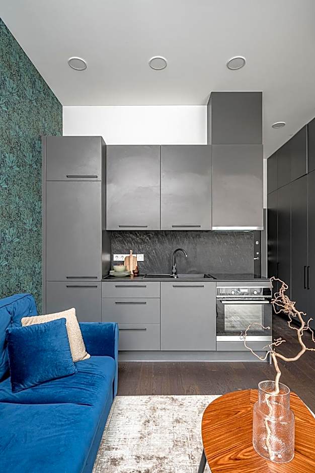 Vilnius Old-Town Renaissance Studios