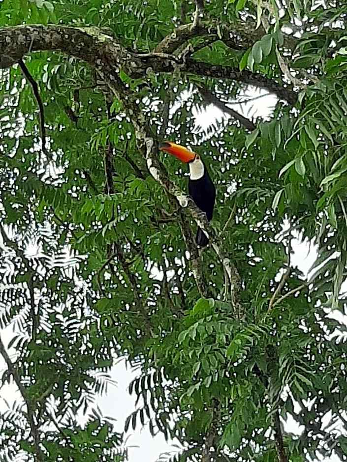 Refúgio Do Guerreiro