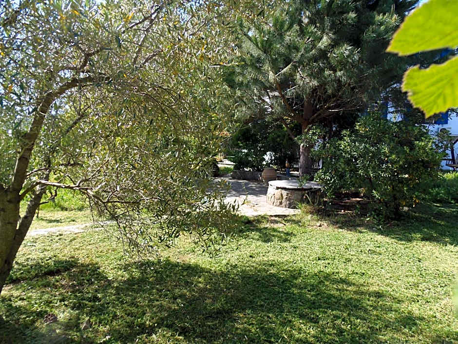 Sartivista Bed & Breakfast