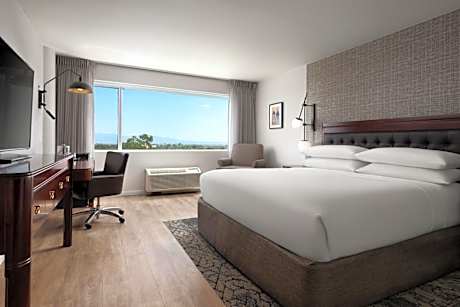 Guest Room, 1 King