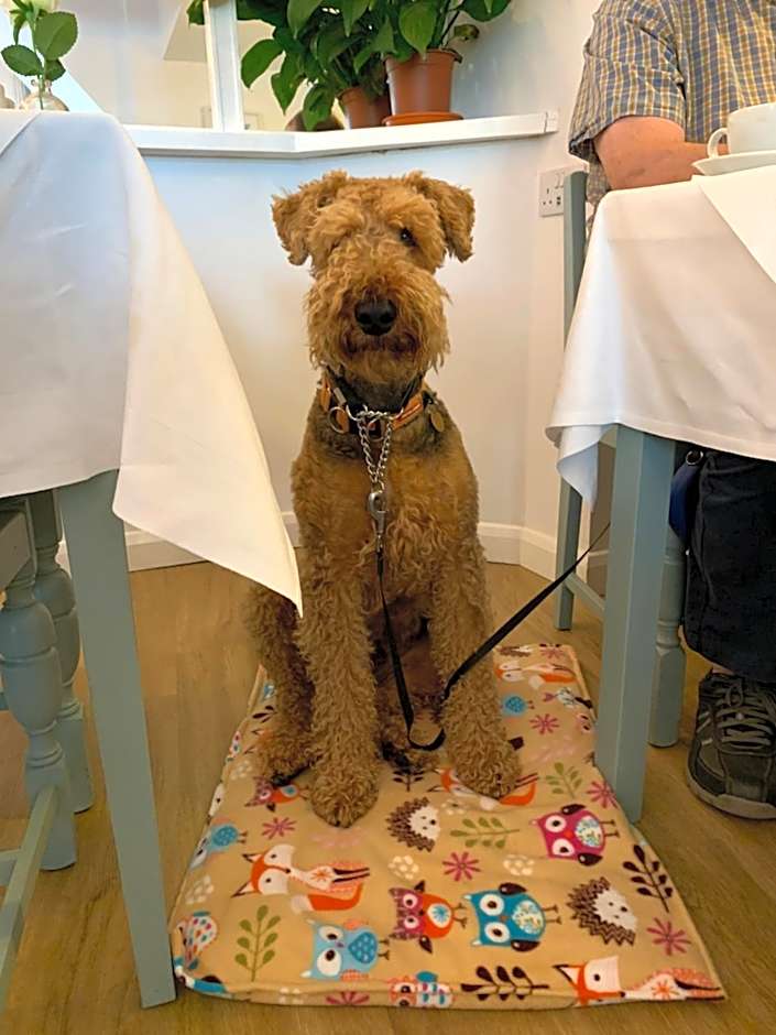 The Claremont Hotel-Adult Only