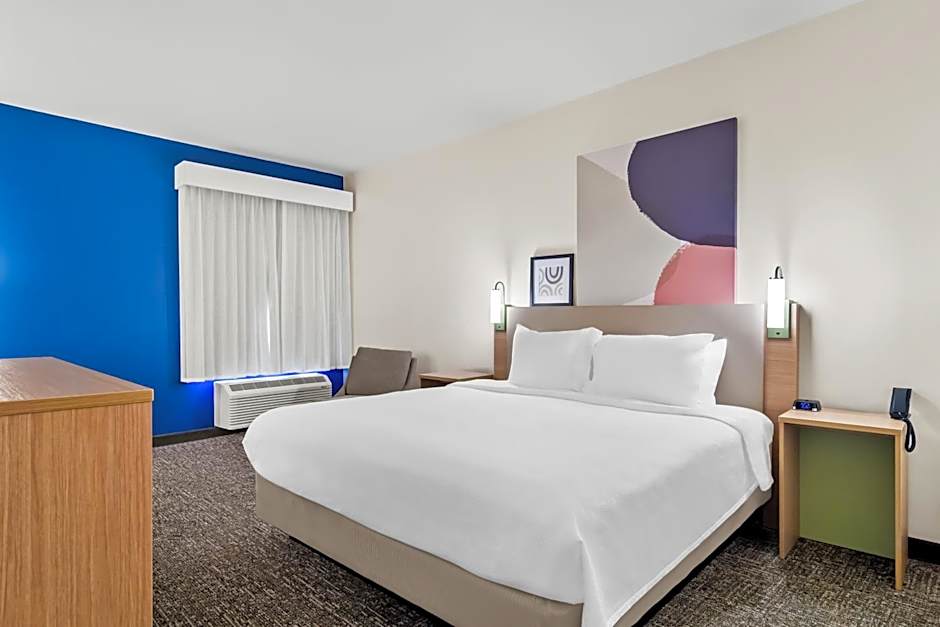 Spark by Hilton Kingsland