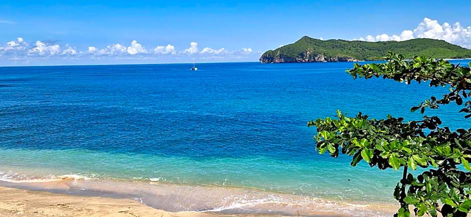 Castaway Surf Retreat