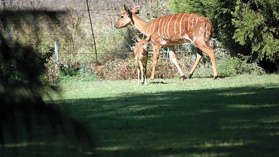 Weltevreden Country Guest Lodge