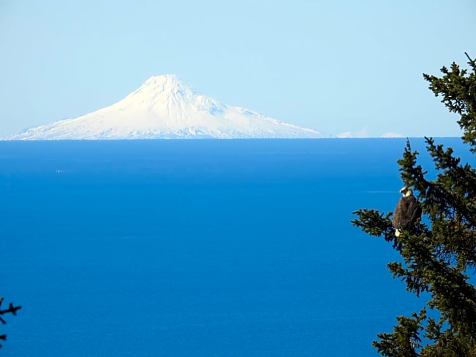 Alaska Adventure Cabins
