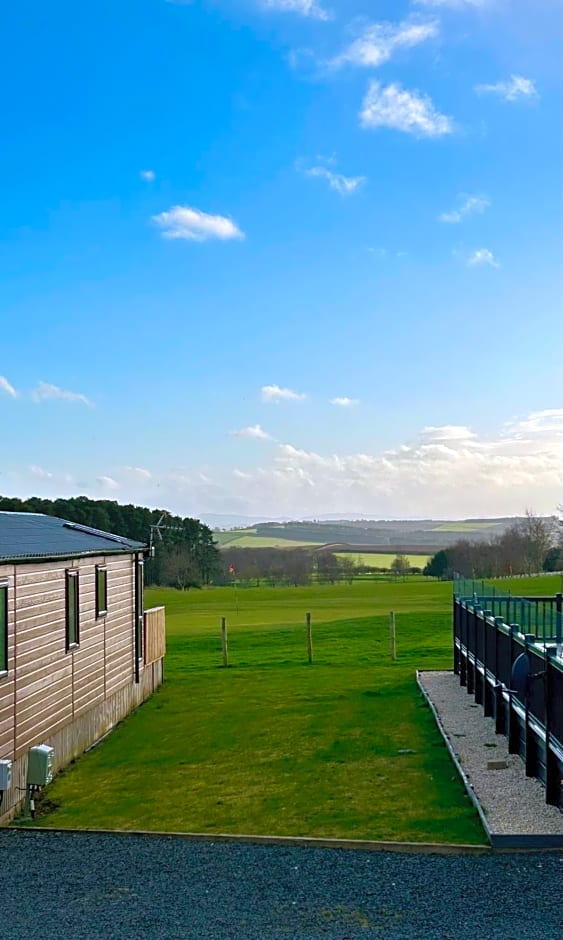 Number 42 @ Lilliardsedge