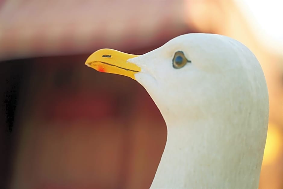 Agroturismo Finca Sa Tanca