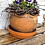 Biały Bór Rooms