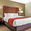 Comfort Inn & Suites Cincinnati Eastgate