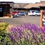 Gualala Surf Inn on the ocean bluff