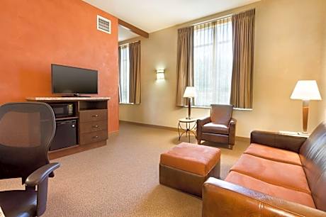 Queen Suite with Sofa Bed - Accessible, Roll-in Shower