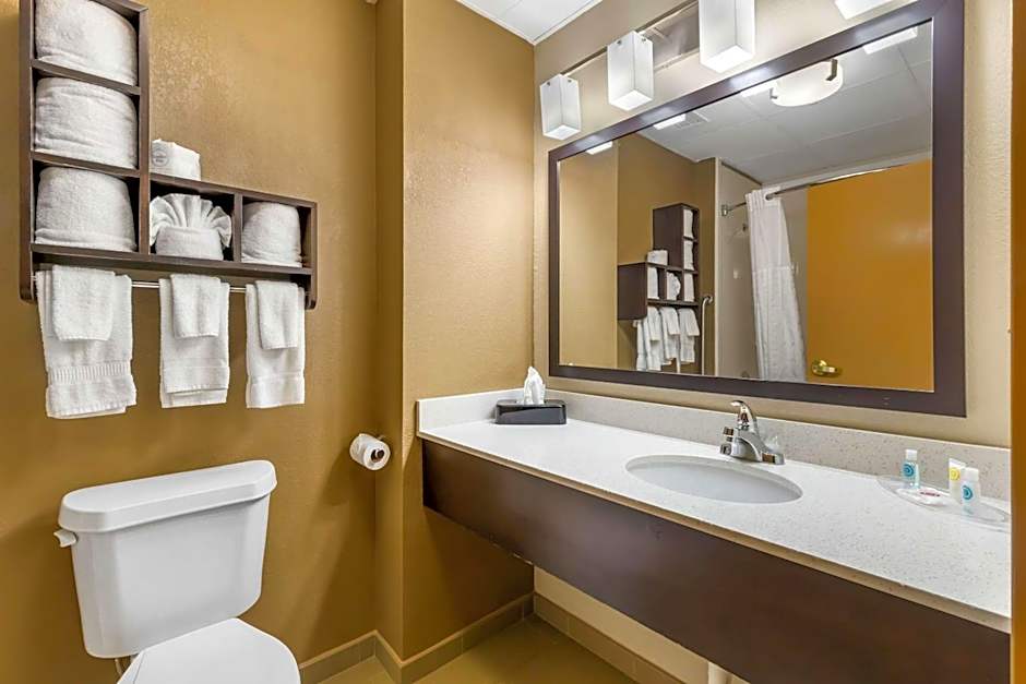 Comfort Suites Regency Park