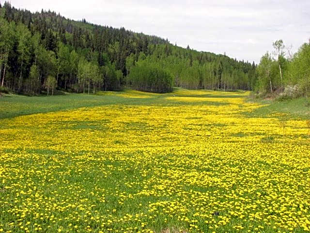 The Grateful Bed B'n'B