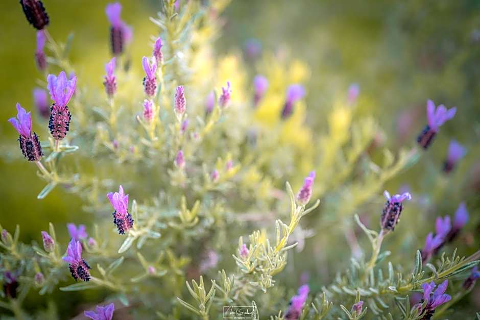 Agriturismo Country Casale Rufo
