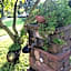 I Lecci Guesthouse