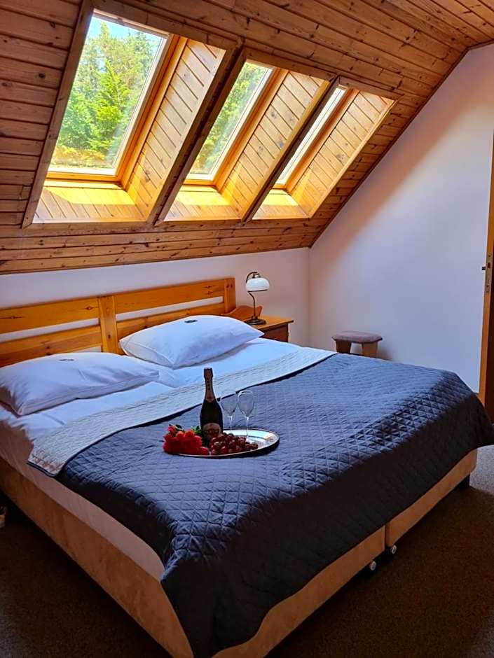 Hotel Karkonosze