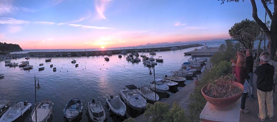 Quasi in Porto Rooms