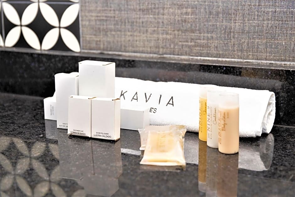 Hotel Plaza by Kavia